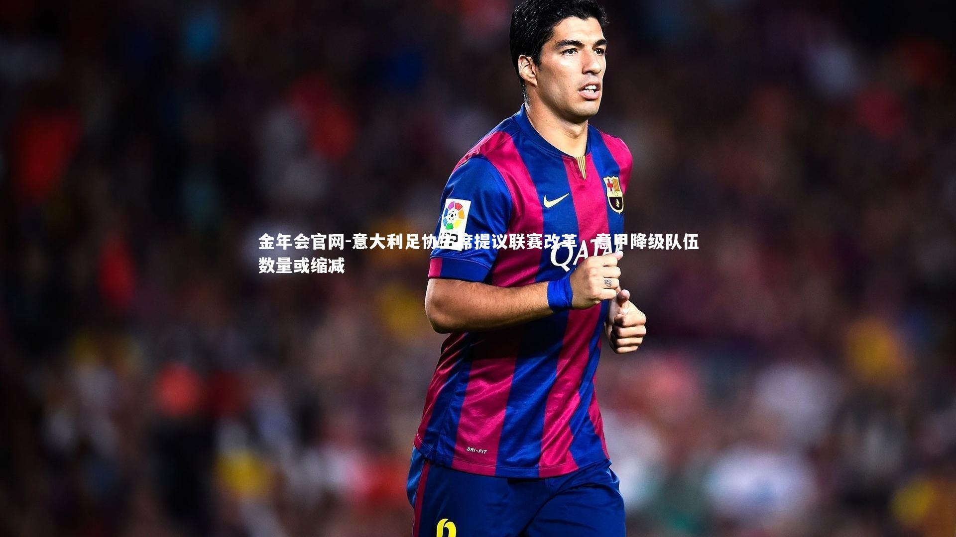 意大利足协主席提议联赛改革，意甲降级队伍数量或缩减